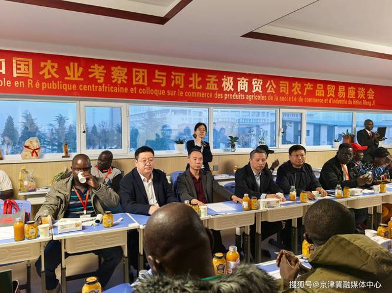 外贸之舟：解读进出口代理的角色与挑战